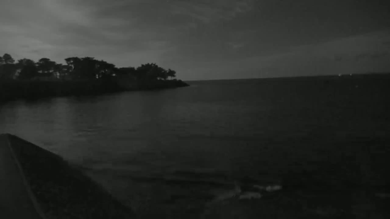 A dark, nighttime scene shows a calm body of water with a treeline on the left, under a cloudy sky.