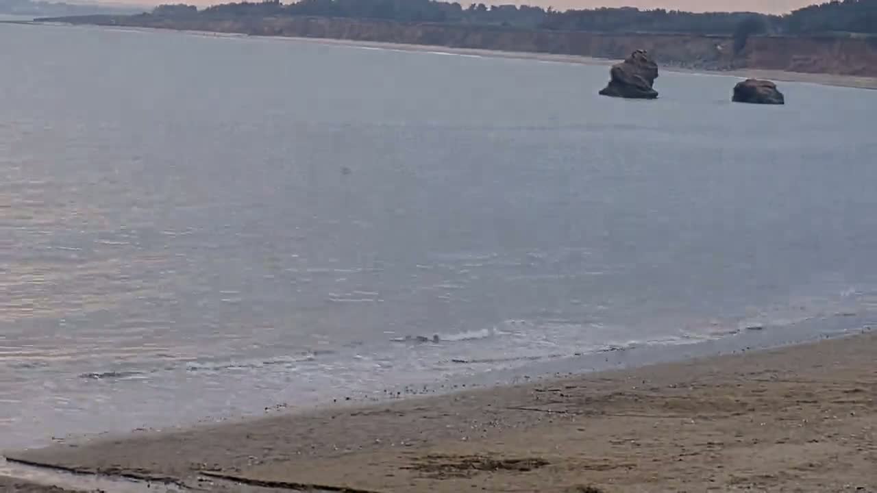 A calm, gray sea laps gently onto a sandy beach, with two dark rocks visible in the water near a distant, tree-lined cliff.