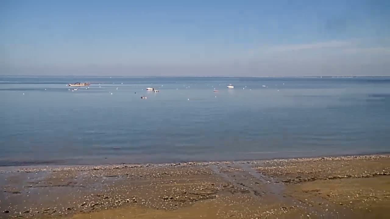A sandy beach slopes down to calm, blue water dotted with several small boats under a clear, sunny sky.
