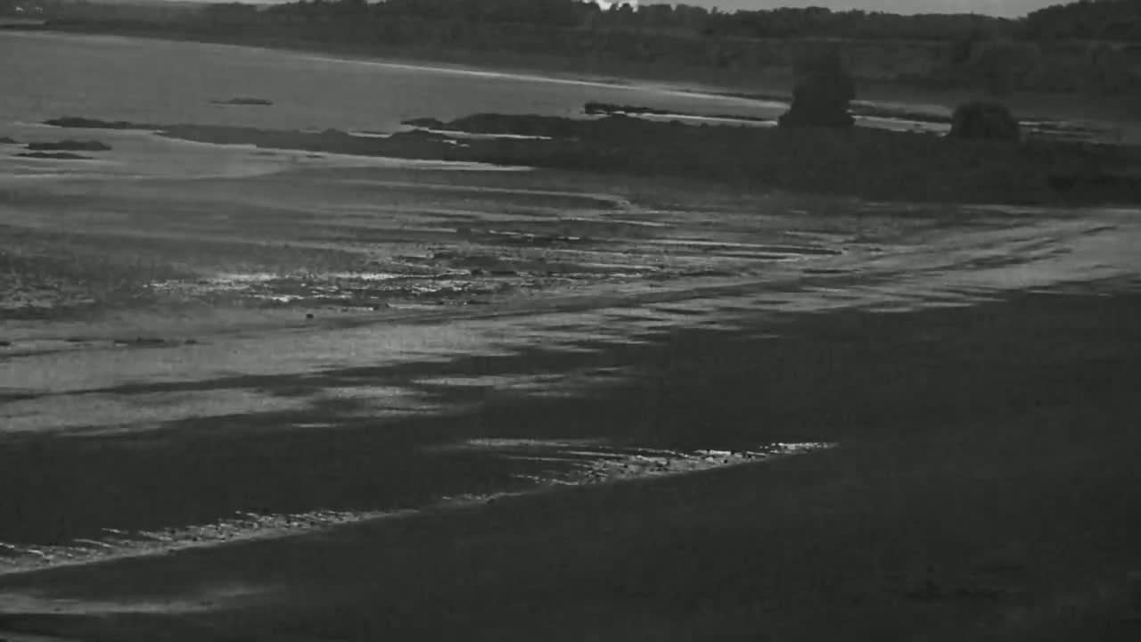 A dark, possibly overcast, beach scene shows a wide expanse of wet sand stretching from a calm body of water to the shore where dark vegetation is visible in the distance.
