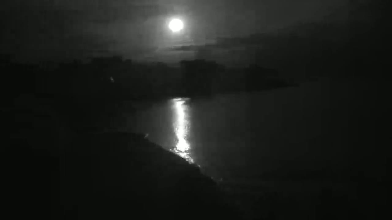 A bright moon illuminates a dark body of water, reflecting a shimmering path of light onto the shore under a mostly cloudy night sky.
