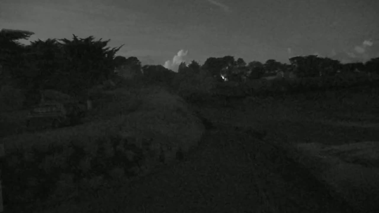 A dark, nighttime scene shows a path winding through vegetation toward a line of trees under a mostly clear sky.