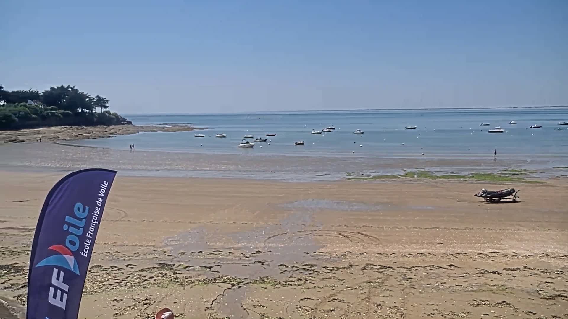 A sandy beach stretches to a calm bay with numerous small boats, under a clear blue sky.
