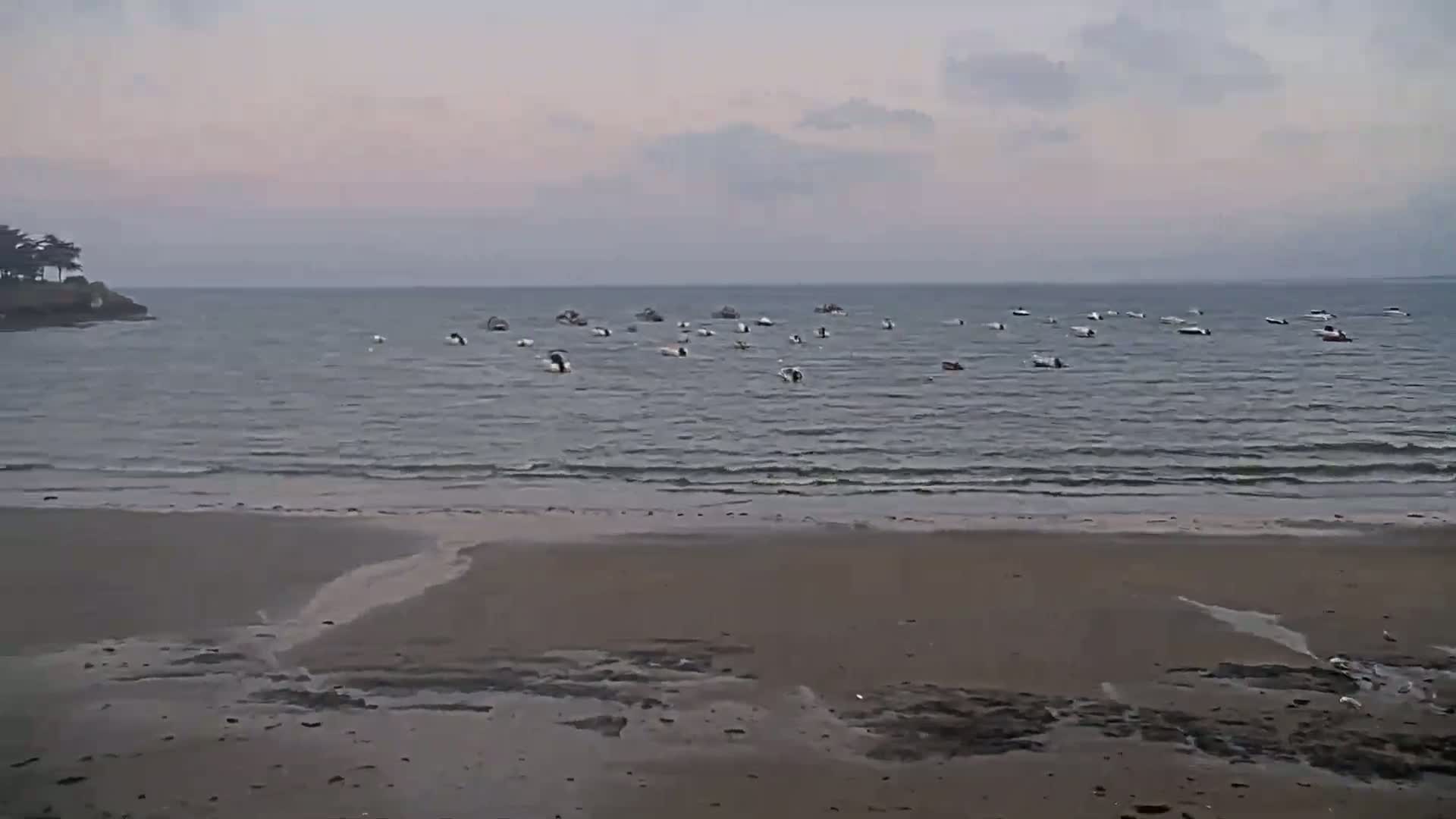 Pénestin, Plage de Betahon Beach Live Cam - Vannes, Morbihan, Bretagne, France