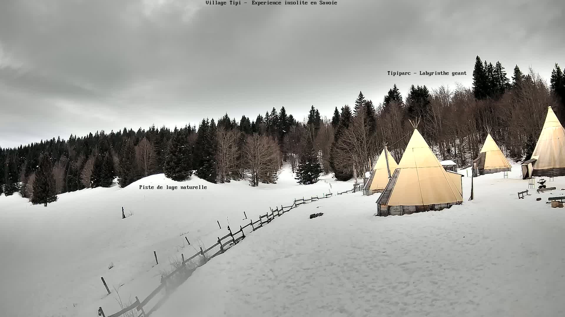 Several teepees are situated on a snow-covered landscape in front of a dark forest under an overcast sky.
