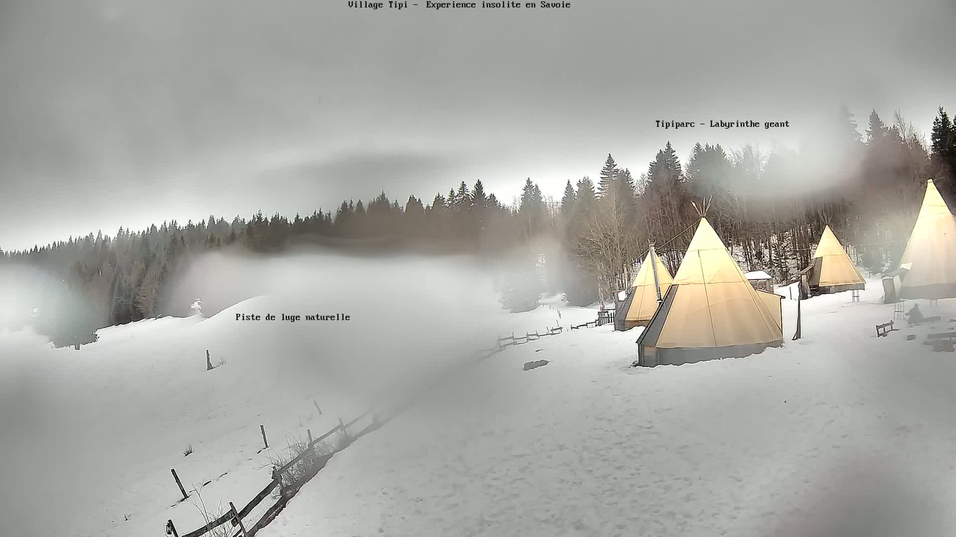 Several teepees sit on a snow-covered ground in front of a foggy forest under an overcast sky.