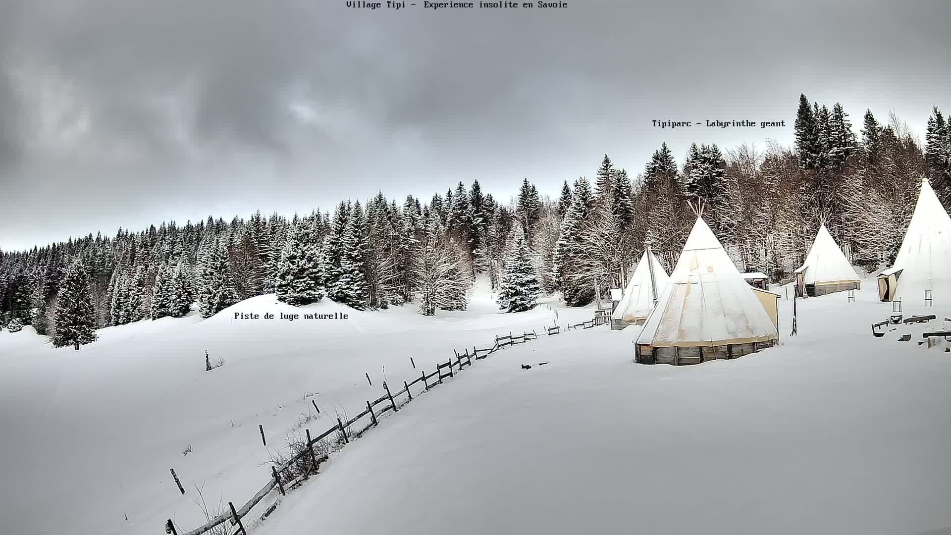 Several snow-covered teepees sit on a snowy hillside, surrounded by a snow-covered forest under an overcast sky.