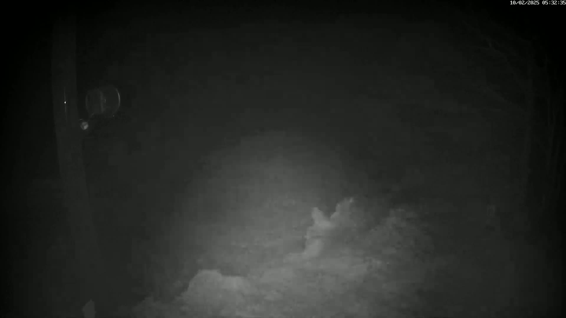 A grainy, low-light image shows a dark, possibly snowy, outdoor scene at night, with a dark structure visible on the left.