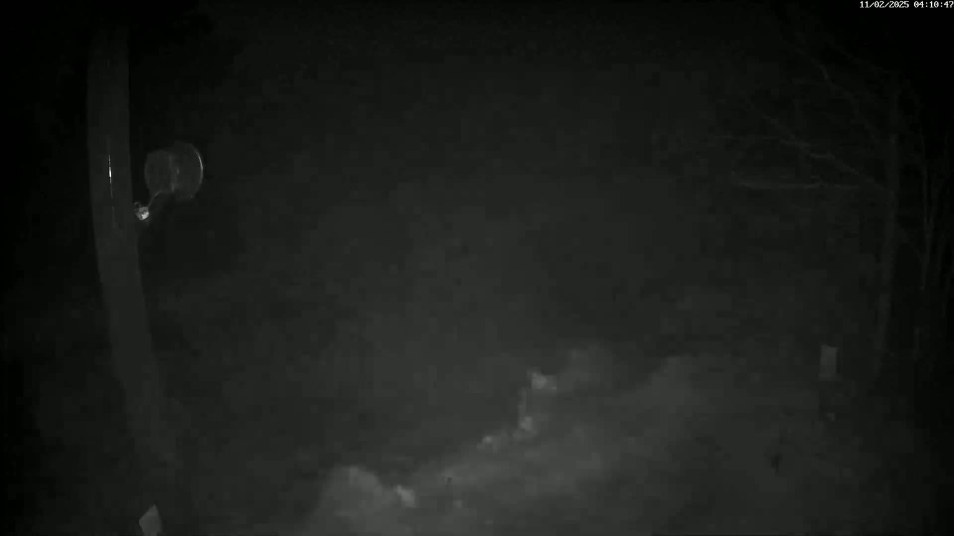 A nighttime, low-visibility scene shows a tall, thin post with a small, round object attached near the top, amidst blowing snow or fog.