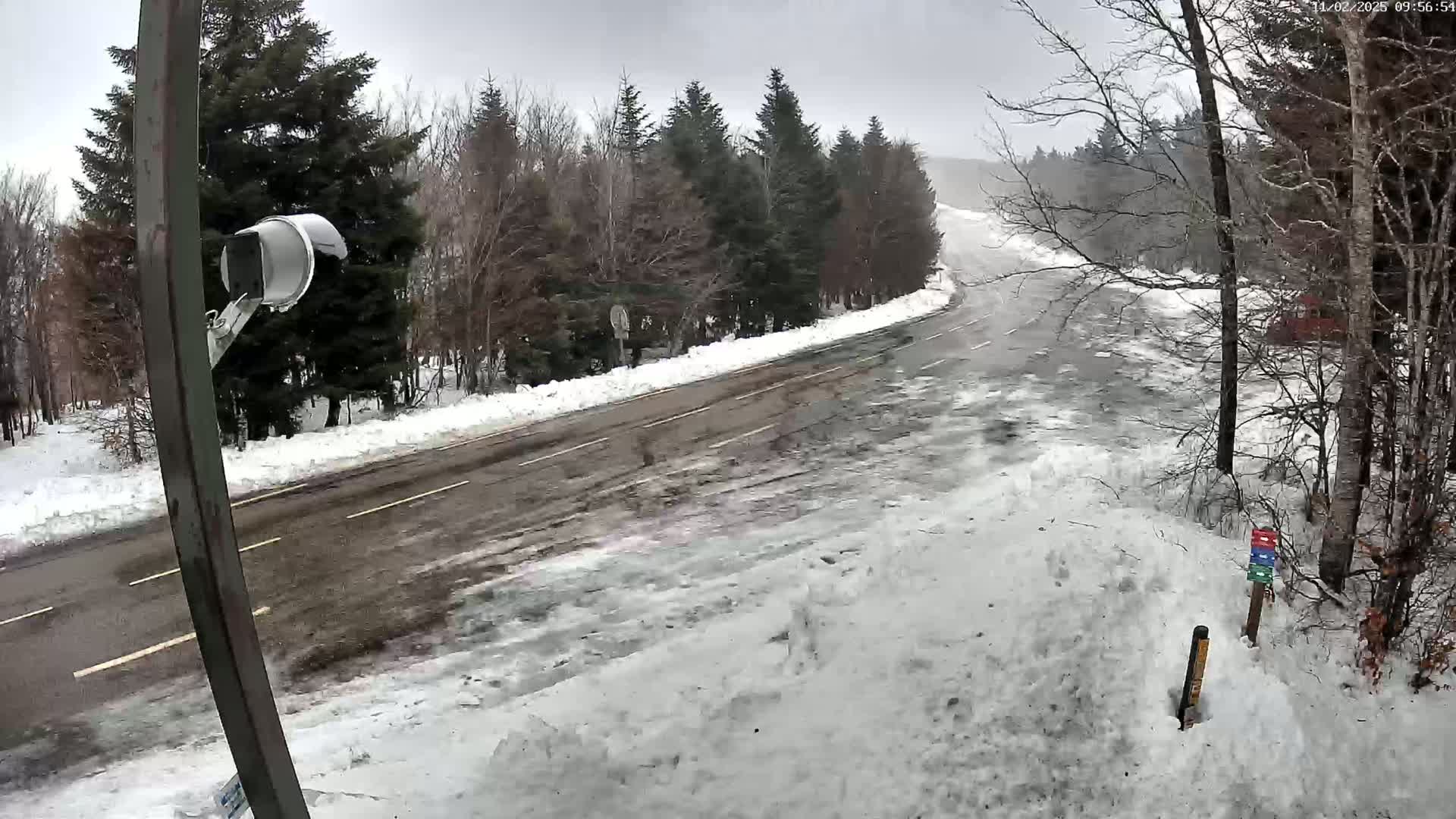 A snow-covered road curves through a wintry landscape of pine trees under an overcast sky.