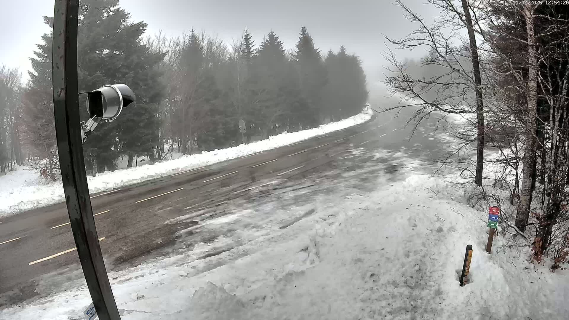 A snow-covered road curves through a foggy, snowy forest.