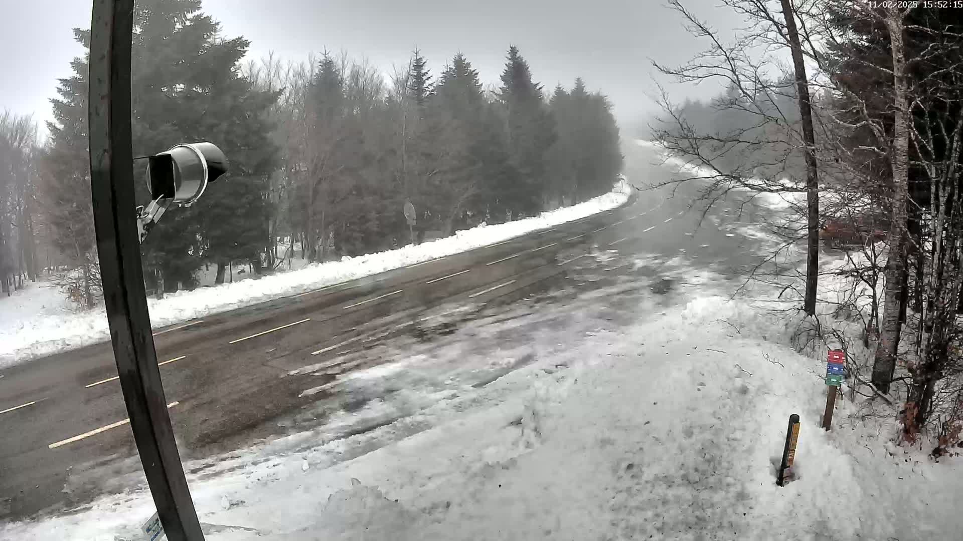 A snow-covered road curves through a wintery forest in overcast conditions.