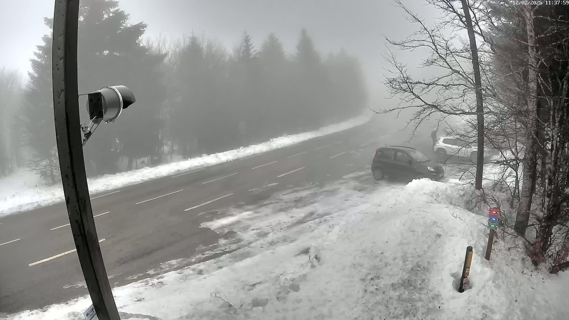 A foggy, snowy scene shows a road curving through a wooded area, with several cars parked near the roadside.