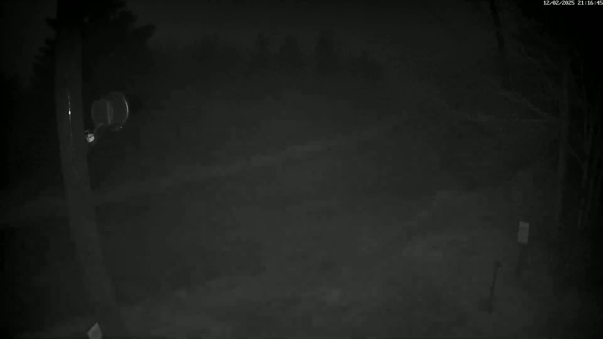 A dark, nighttime scene shows a blurry view of trees and a pole with a reflective object attached, under foggy or hazy conditions.