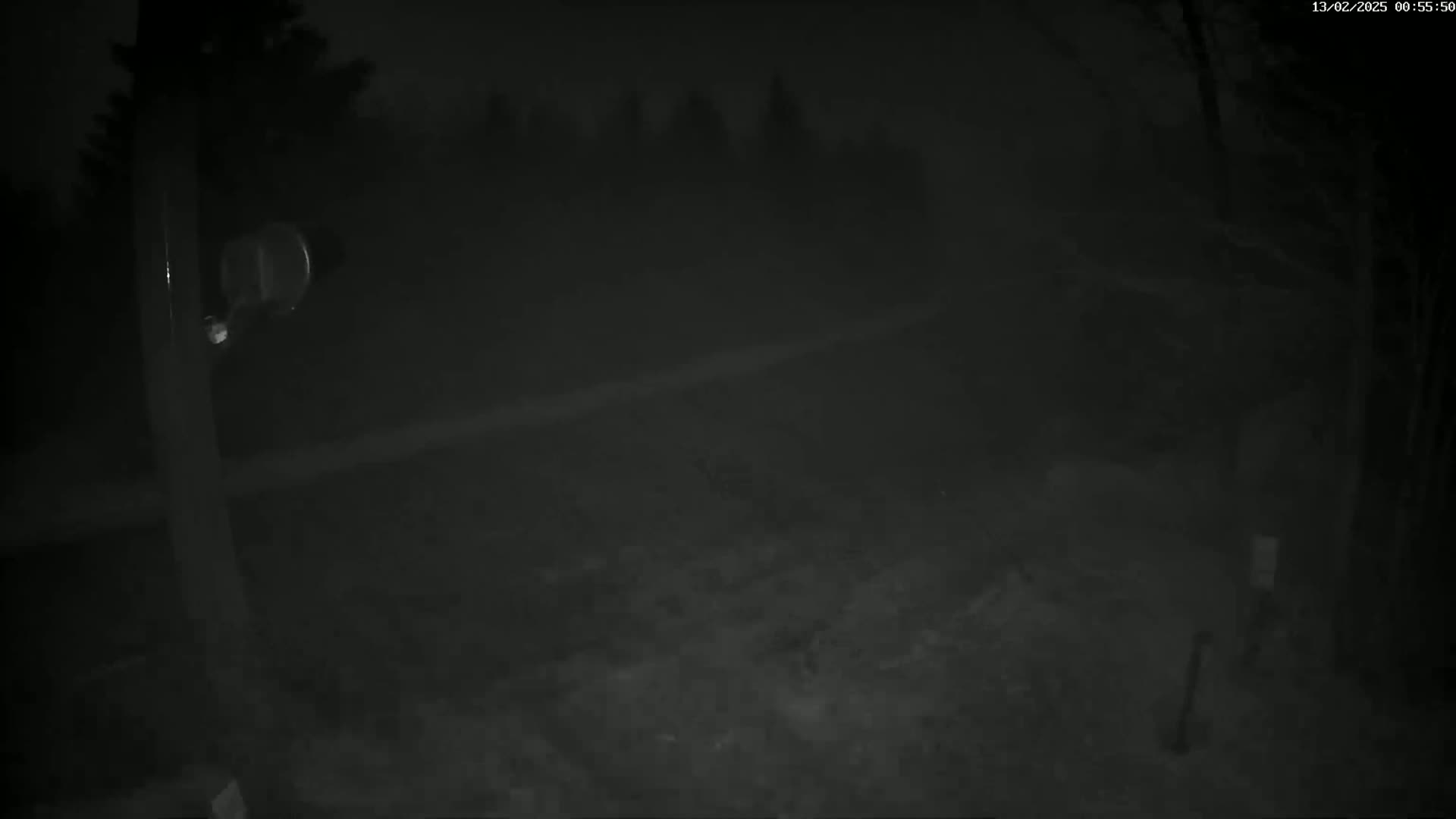 A nighttime, low-light outdoor scene shows a dark, mostly empty area with some trees in the background and a pole with a camera attached in the foreground.