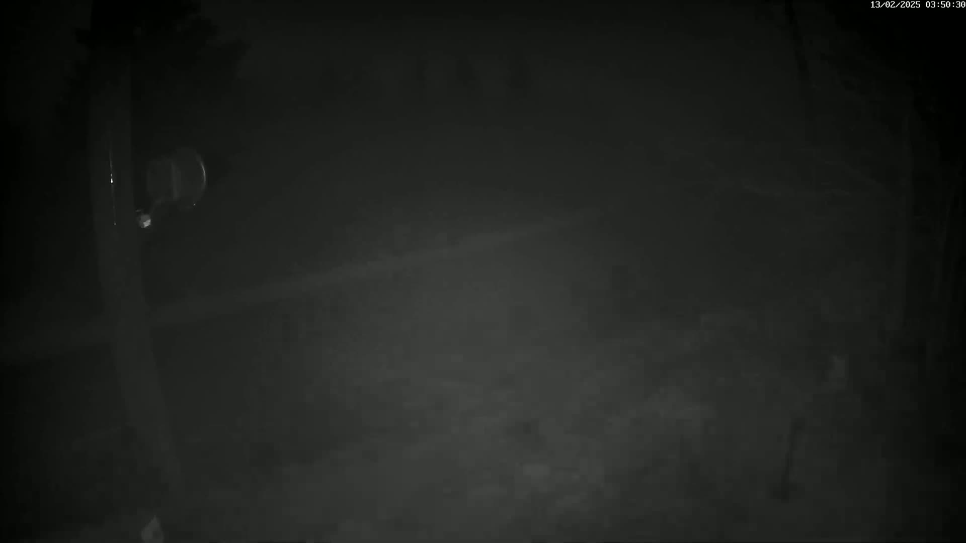 A dark, nighttime scene shows a dimly lit area, possibly outdoors, with fog or mist obscuring the view.