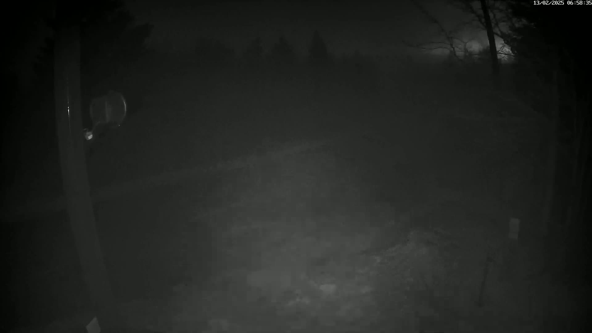 A dark, nighttime scene shows a blurry figure near a post, with a dimly lit, foggy or snowy background featuring trees in the distance.