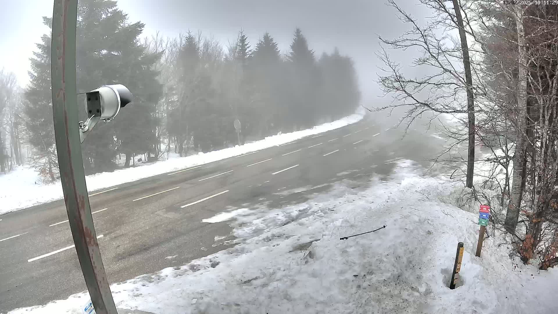 A security camera on a pole overlooks a snow-covered road winding through a foggy forest.