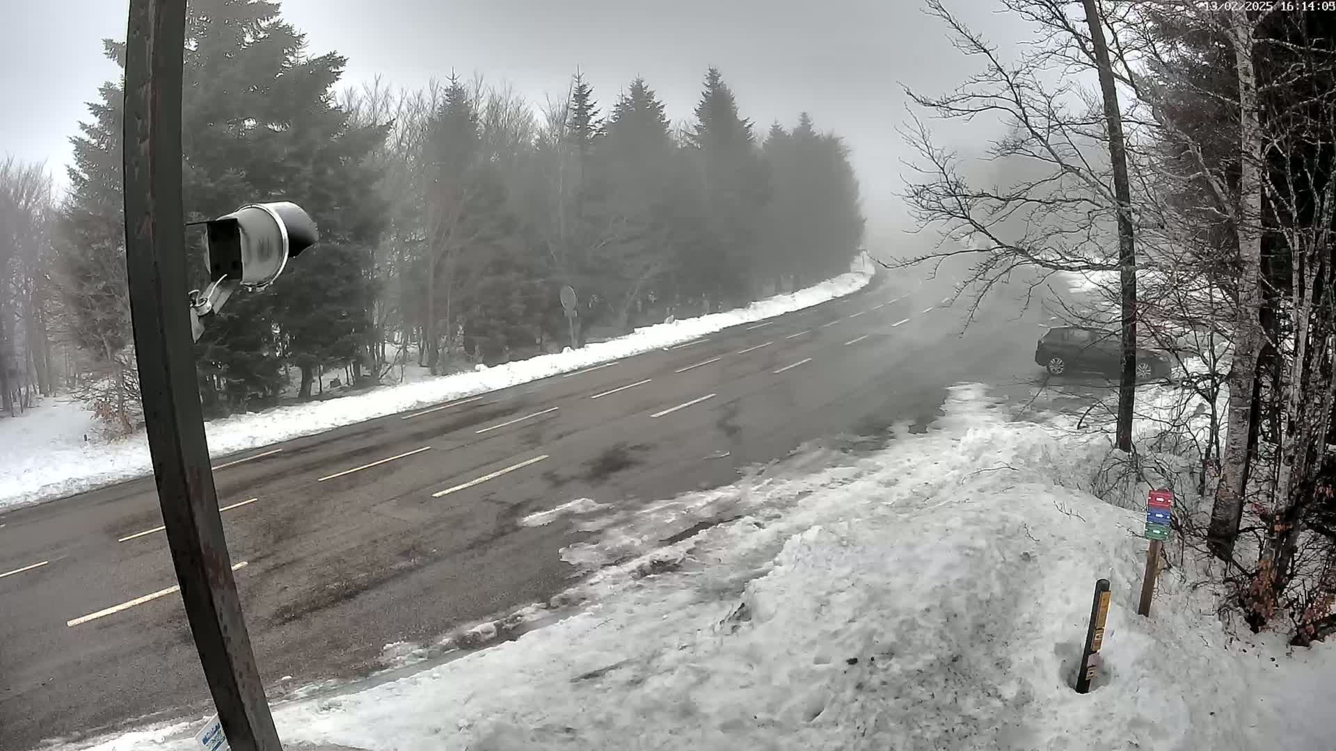 A foggy, snow-covered road curves through a forest, with a single car parked on the side.