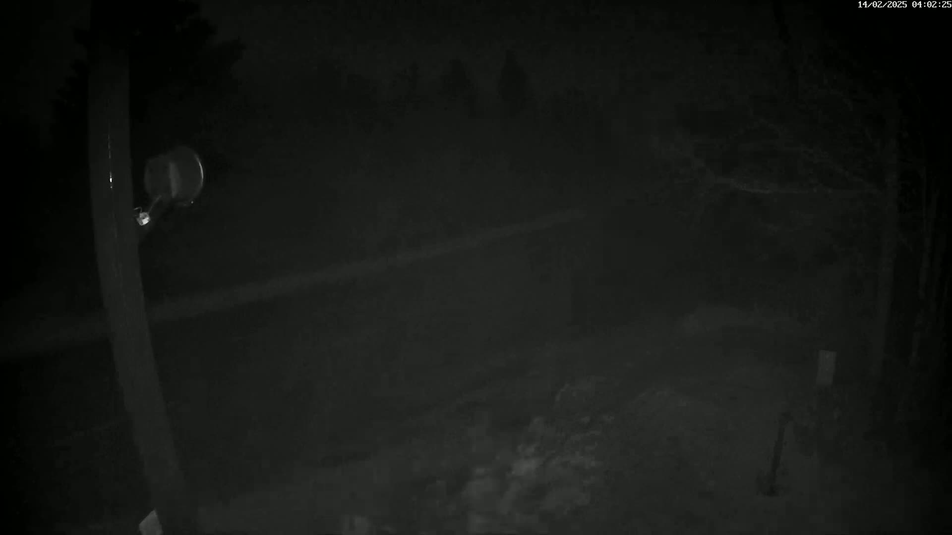 A nighttime, low-light outdoor image shows a dark yard with indistinct shapes of trees and bushes, illuminated by a single light source attached to a pole.