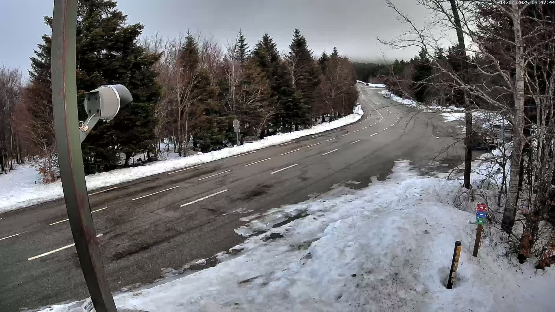 A snow-covered road curves through a wintry forest under a cloudy sky.