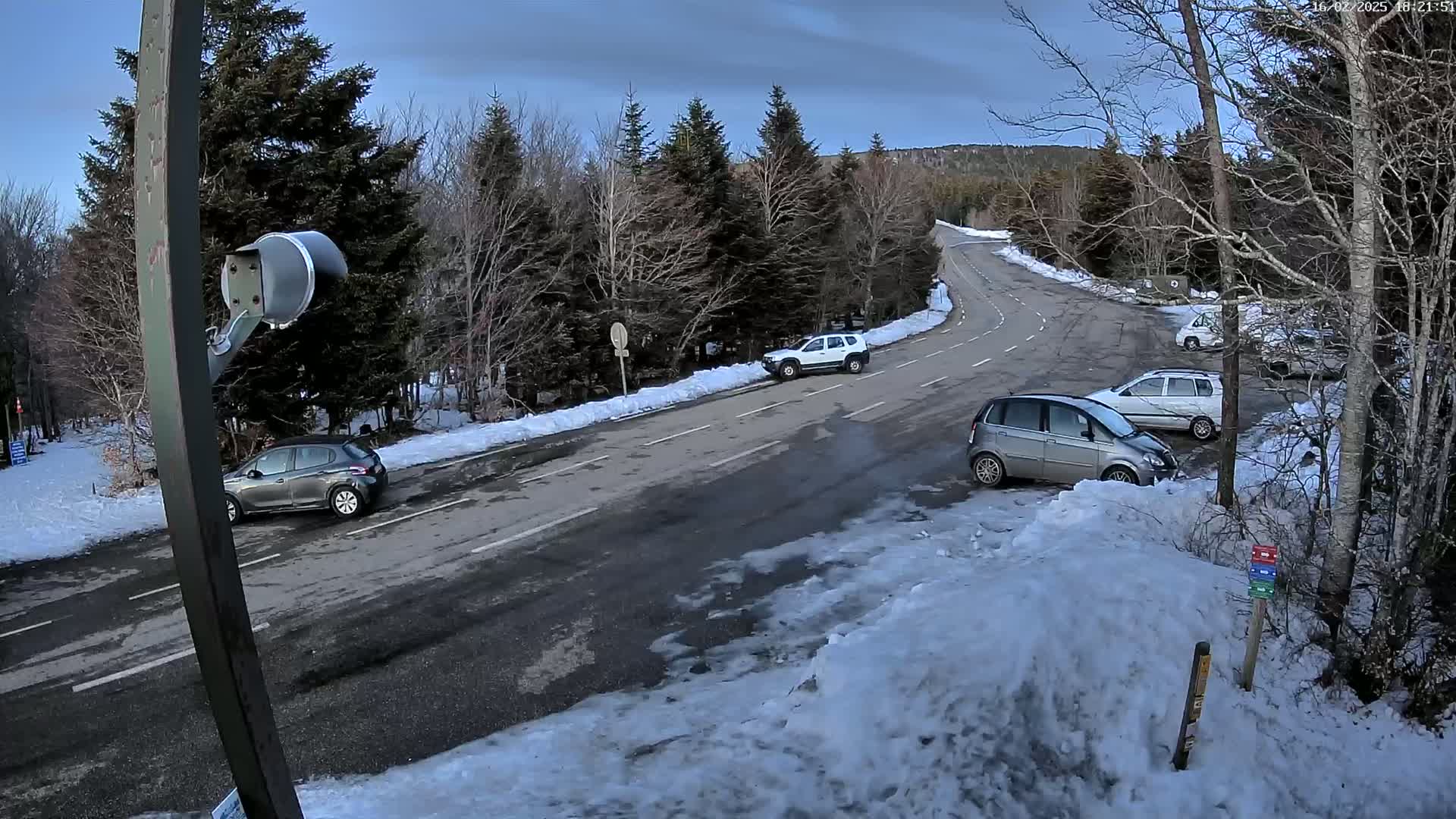 Several cars are parked along a snow-covered road winding through a wintry forest.