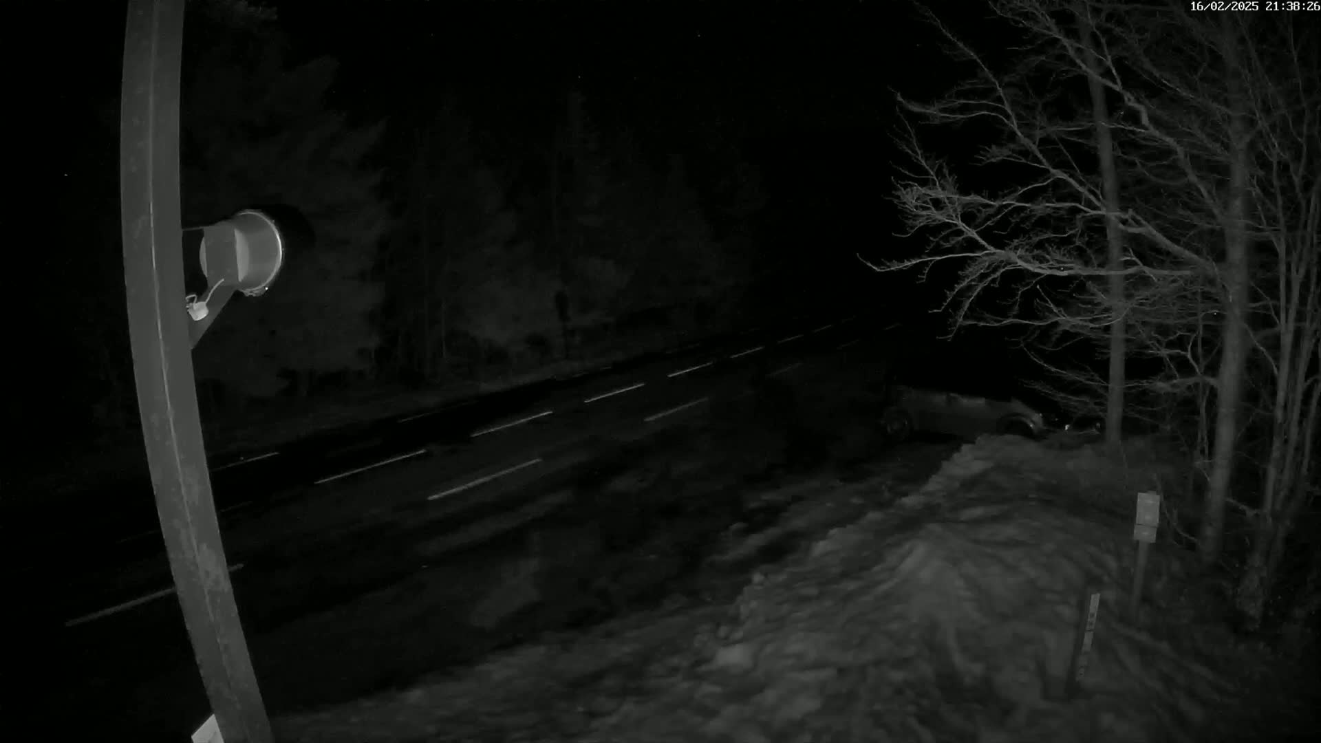 A nighttime view of a snow-covered roadside with bare trees and a road with vehicle headlights visible in the distance.