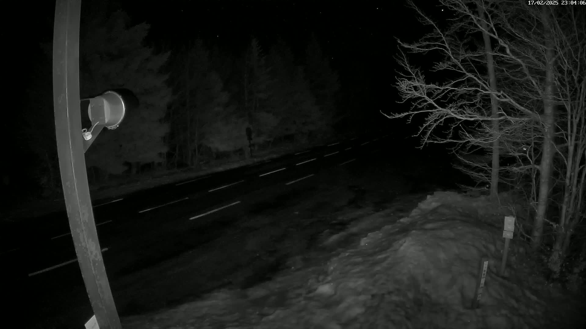 A nighttime view of a snow-covered roadside next to a dark road with white lane markings, under a clear, starry sky, with bare trees visible in the background.