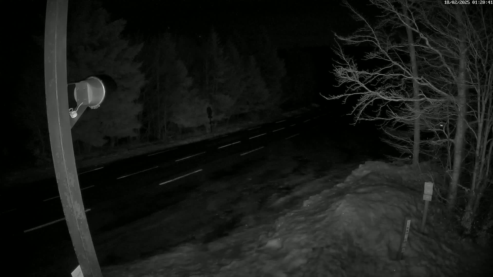 Mount l'Aigoual - Station de Prat Peyrot 2 Live Cam - Le Vigan, Gard, Occitanie, France