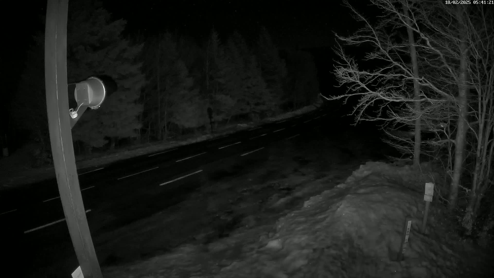 A nighttime view of a snow-covered roadside with a dark asphalt road extending into a wooded area under a clear sky.