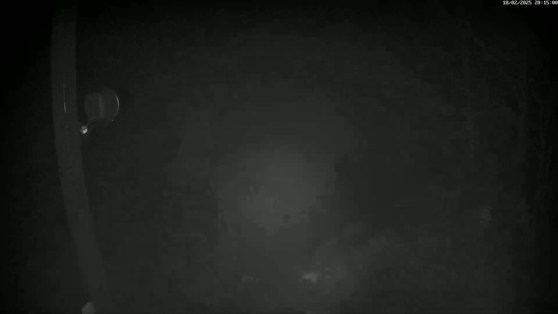 A dark, foggy night scene is shown with a small, round mirror attached to a vertical post.