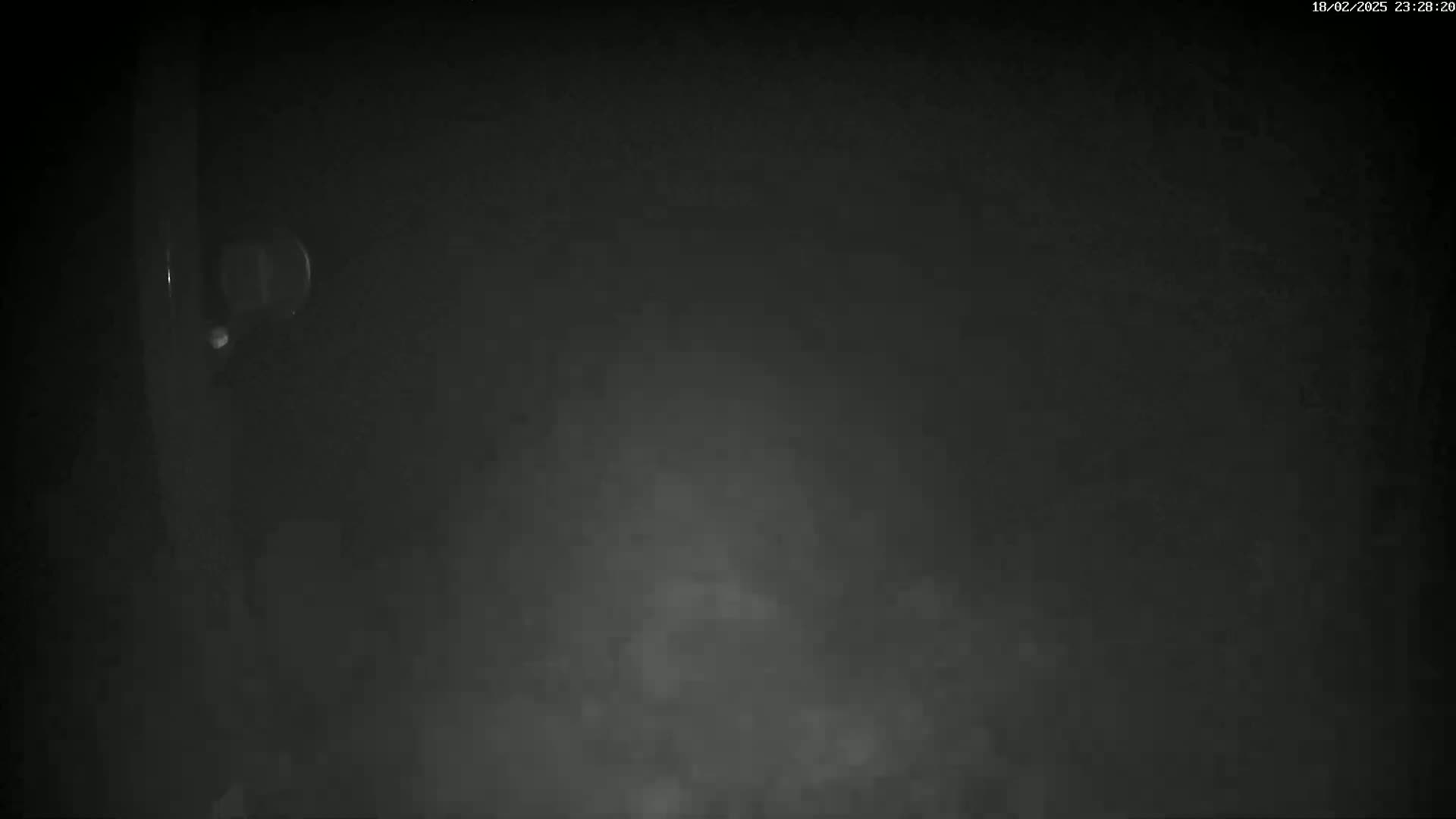 A dark, foggy scene is shown, with a small, round object visible on the left.
