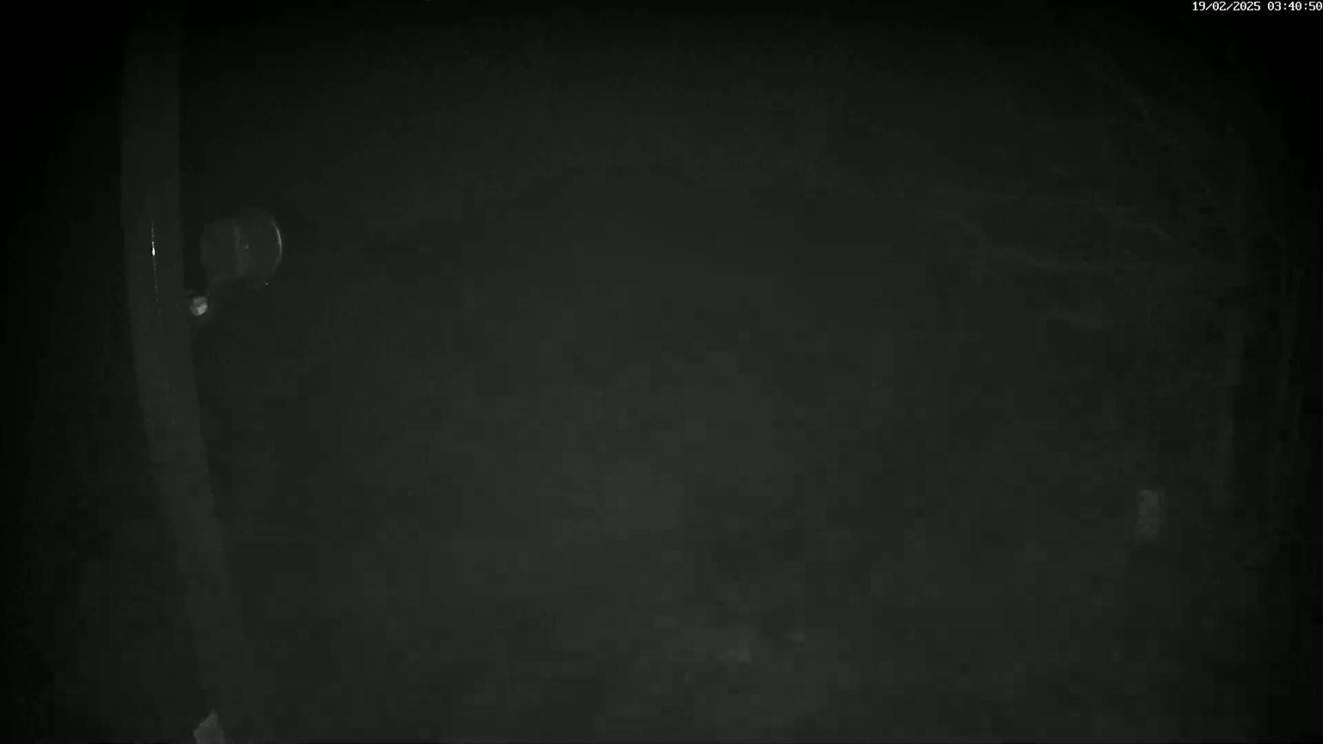 A dark, blurry nighttime image shows a portion of a door and a dark, indistinct area beyond it.