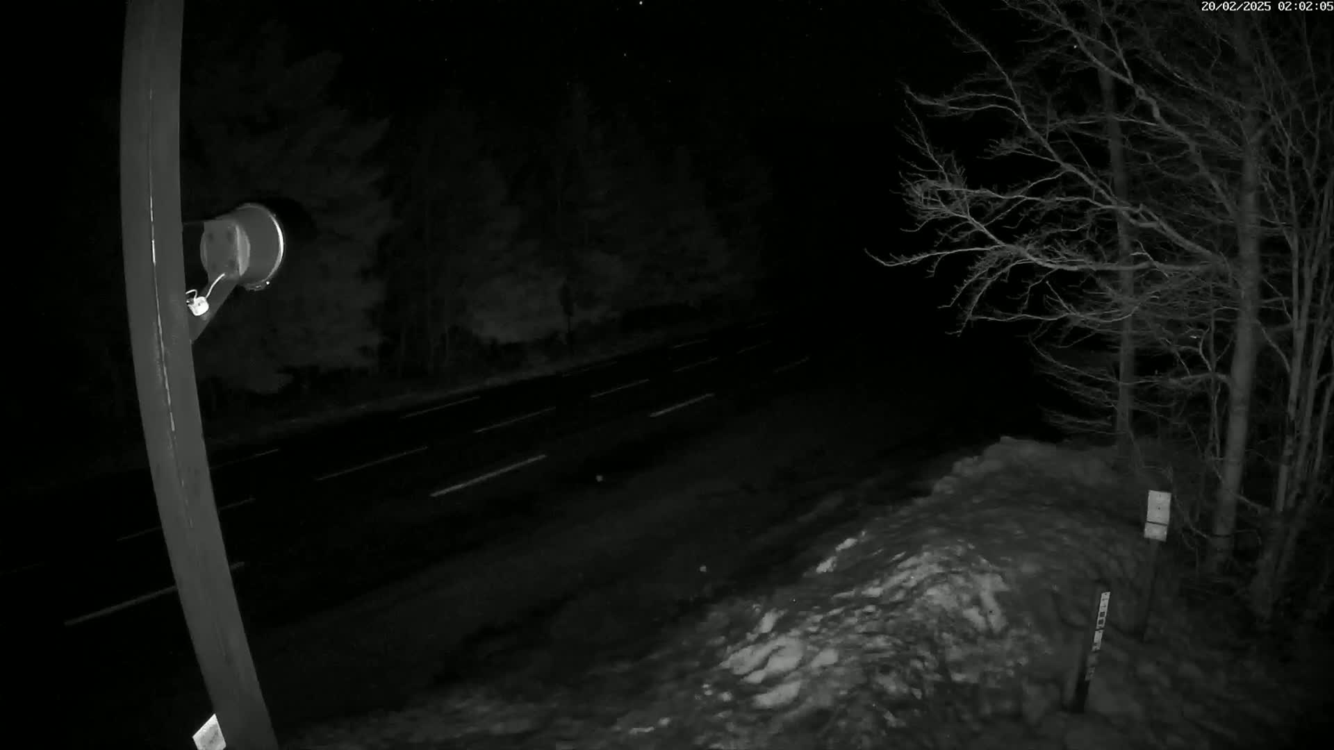 A nighttime view of a snow-covered roadside next to a dark road, with bare trees in the background under a clear, starry sky.