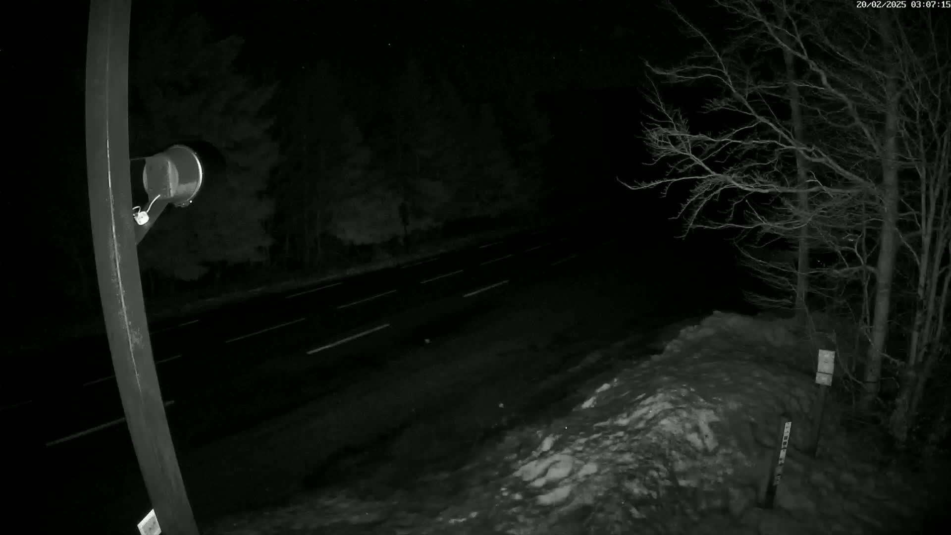 Mount l'Aigoual - Station de Prat Peyrot 2 Live Cam - Le Vigan, Gard, Occitanie, France