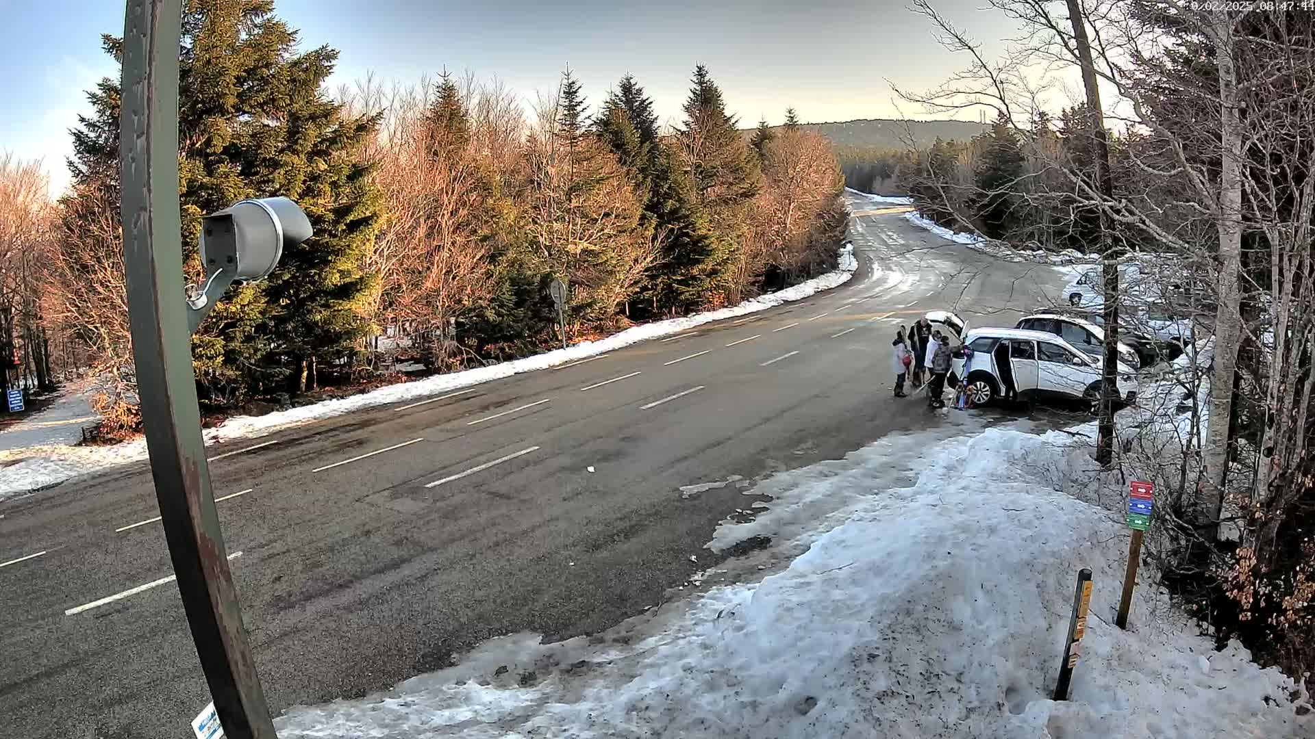 A group of people stand near a white SUV with its rear hatch open on a snow-covered road winding through a forest in the sunlight.