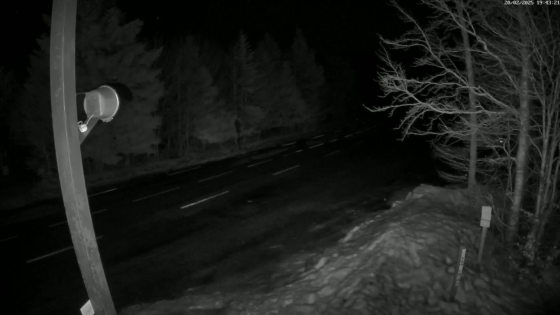 A nighttime view of a road with some traffic, partially covered in snow, and bordered by leafless trees under a dark sky.