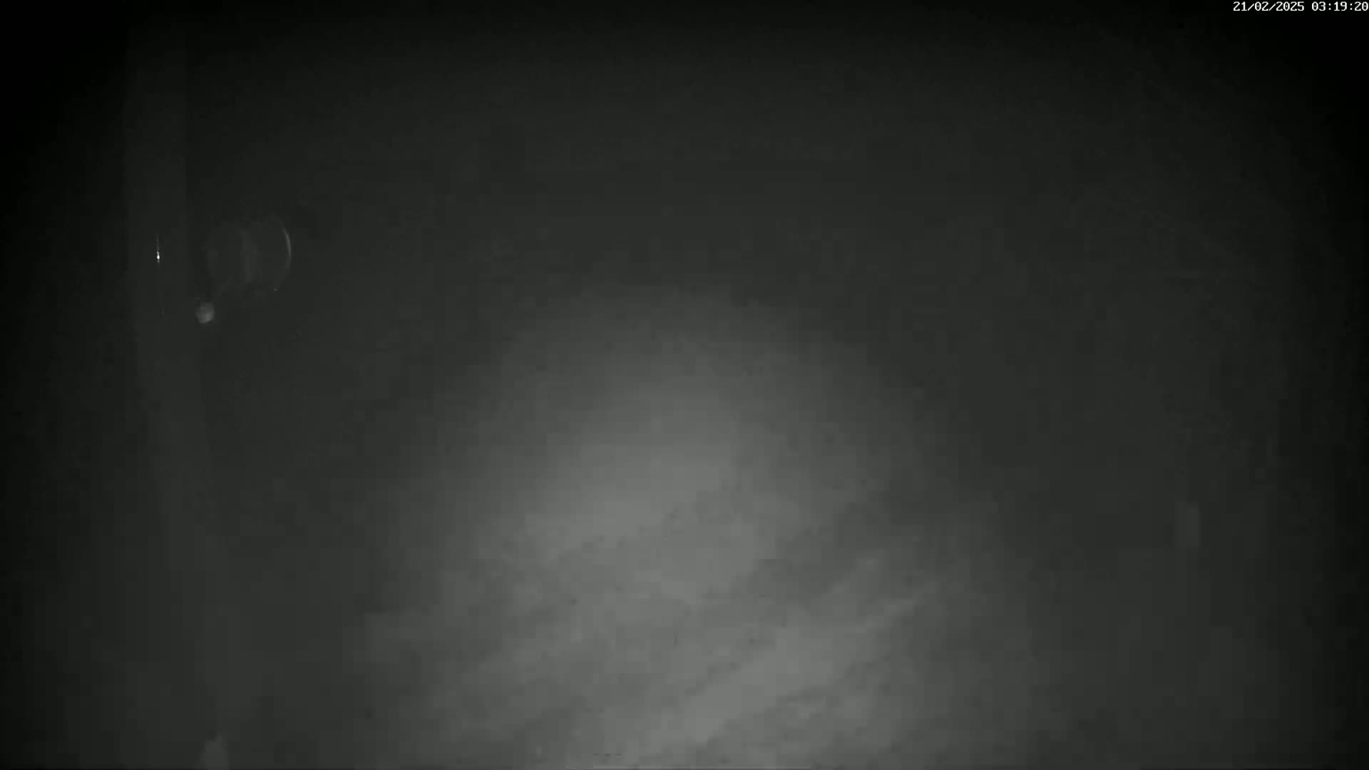 A blurry, dark gray image shows a faint, lighter area in the center, possibly fog or mist.