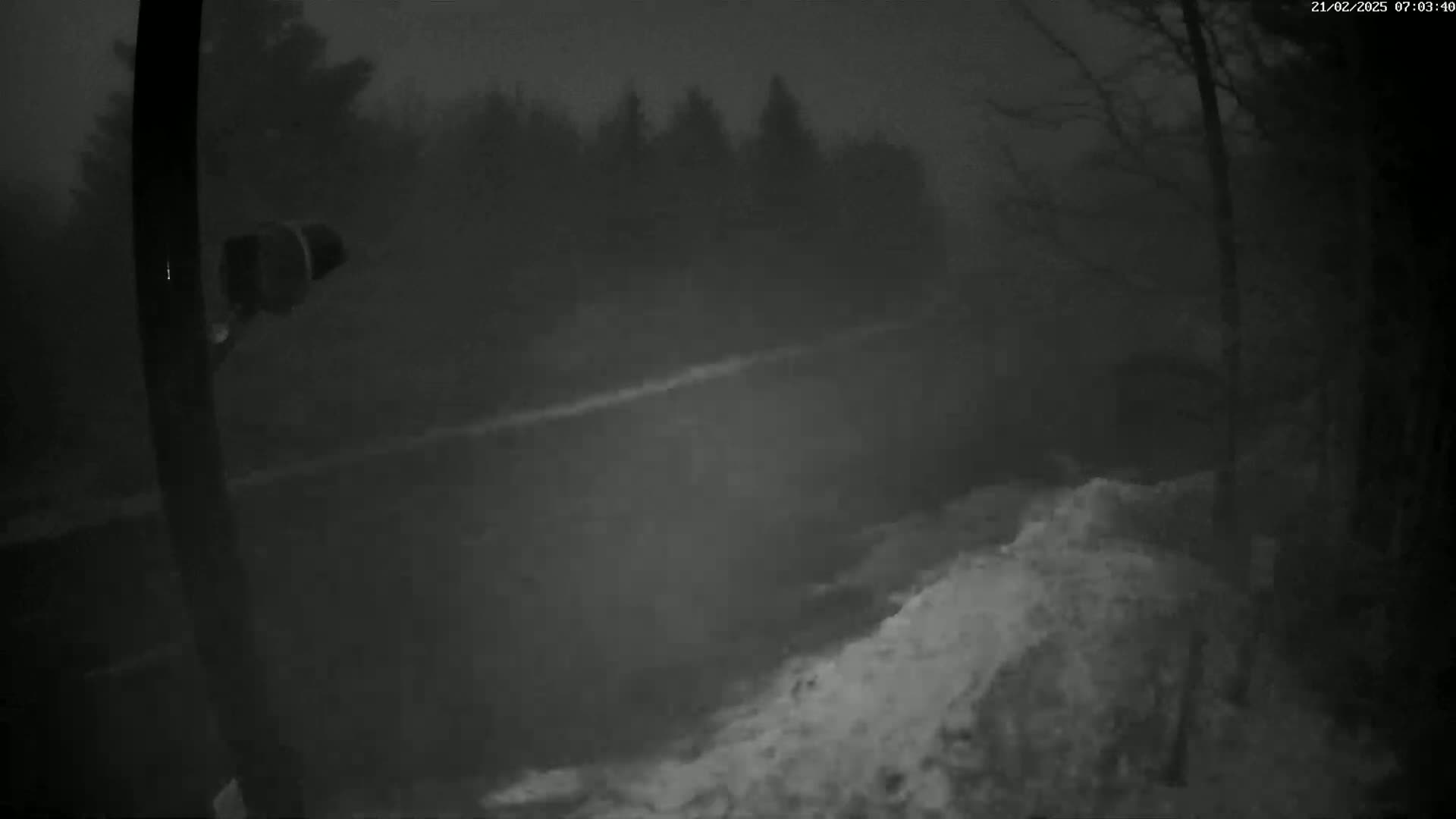 A nighttime, snow-covered scene shows a security camera affixed to a post, overlooking a dimly lit area with trees and a snowdrift in the foreground under a dark, overcast sky.