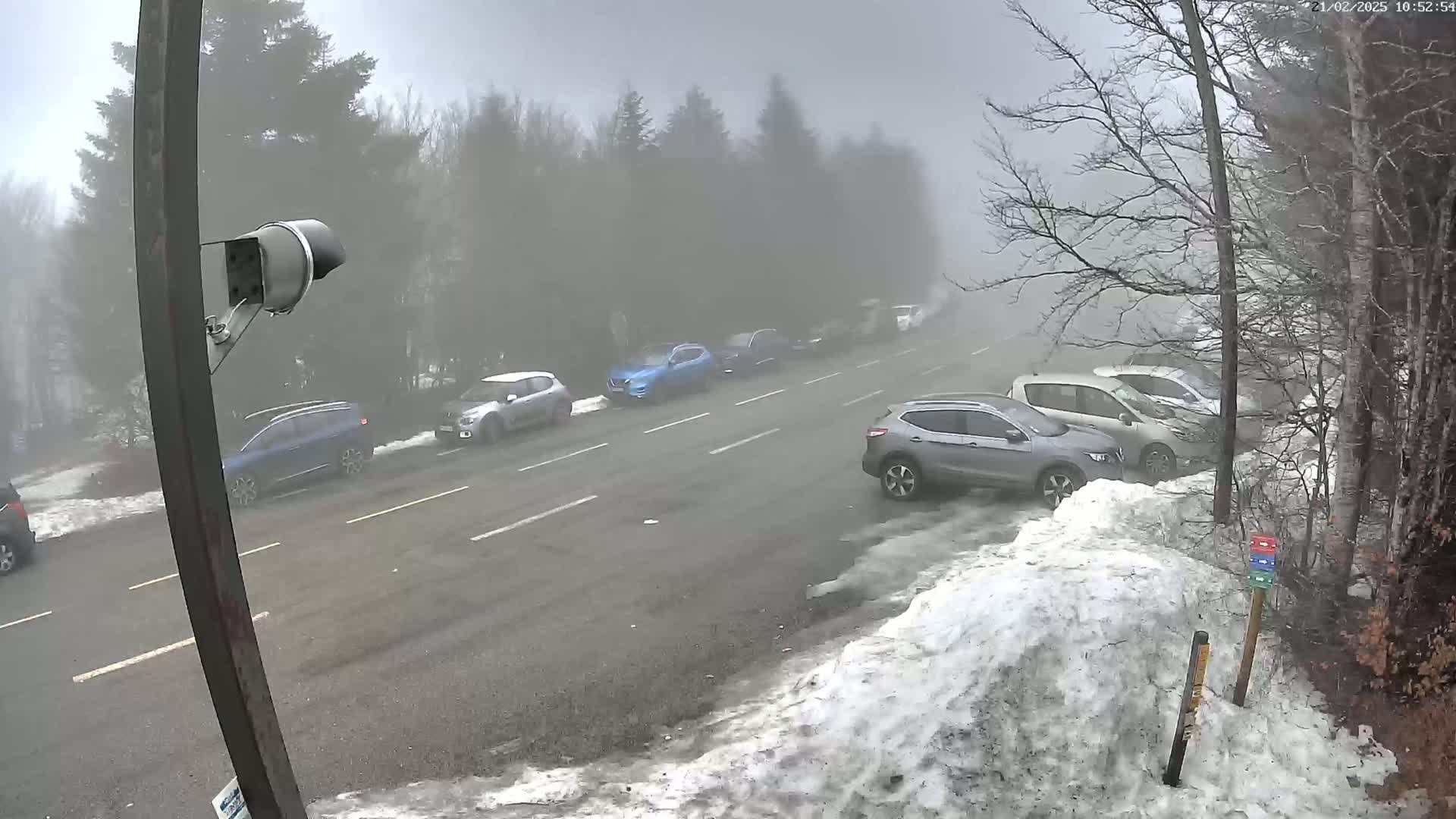 Several cars are parked and driving on a road in foggy conditions alongside a snow-covered area with bare trees.