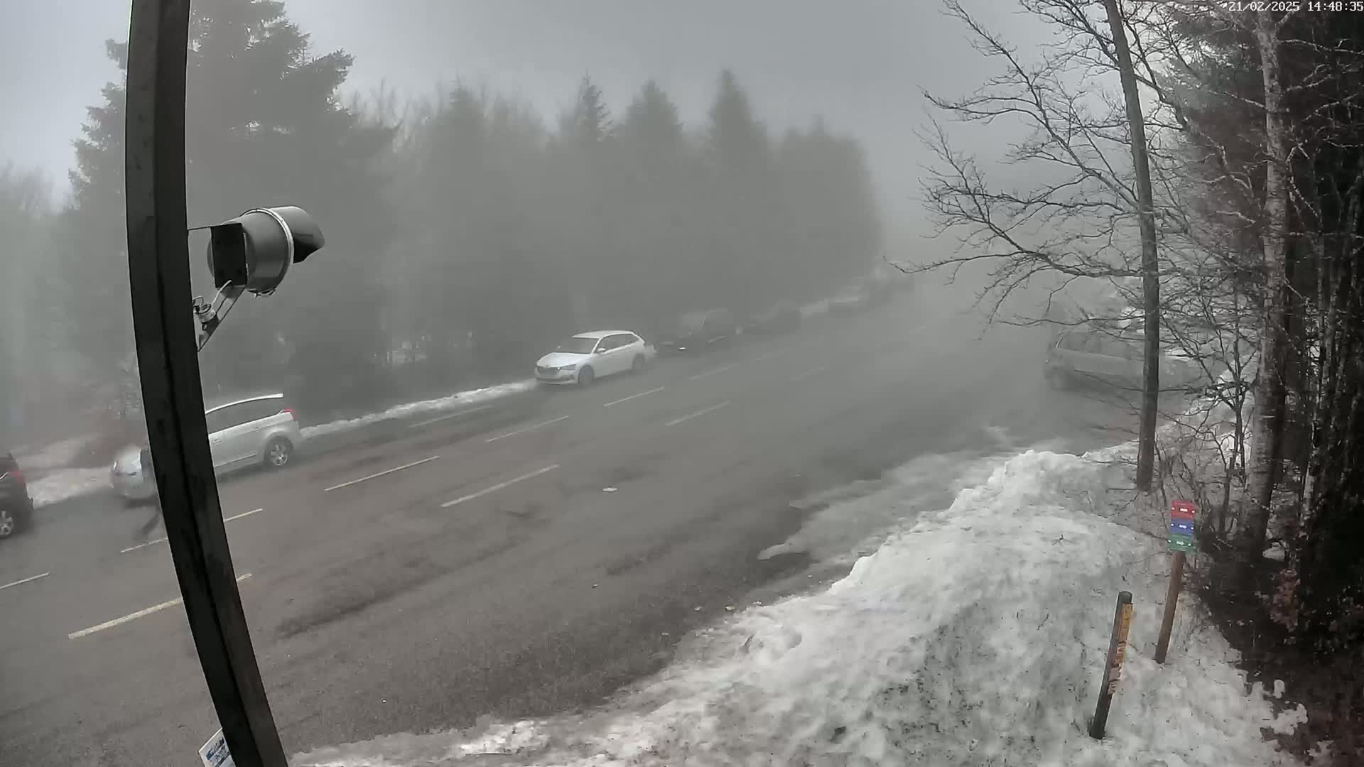 A foggy road scene shows several cars driving past a snow-covered roadside, with trees lining the road.