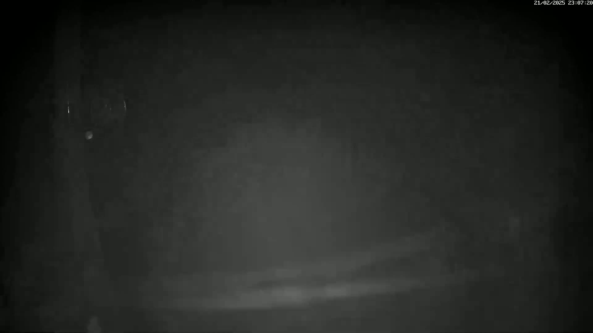 A dark, foggy scene is shown at night.