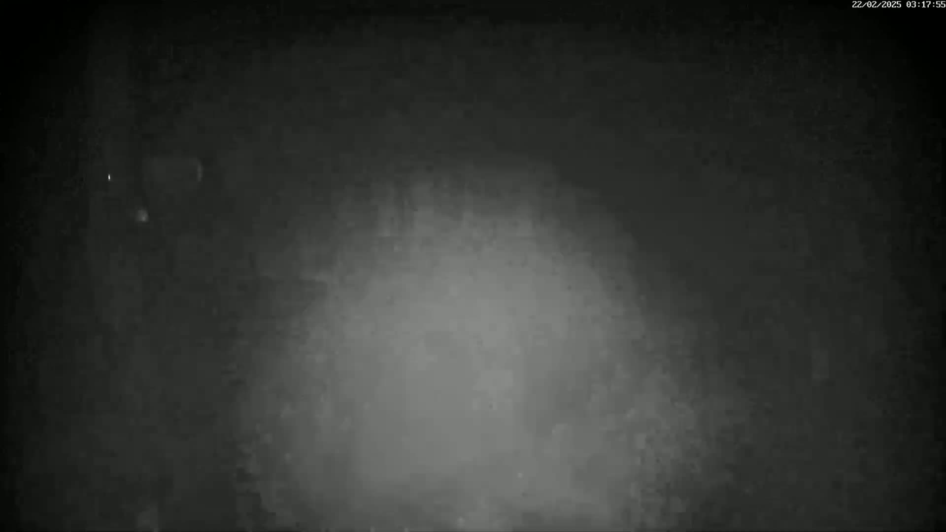A grainy, low-light image shows a blurry, indistinct scene in foggy or hazy conditions at night.