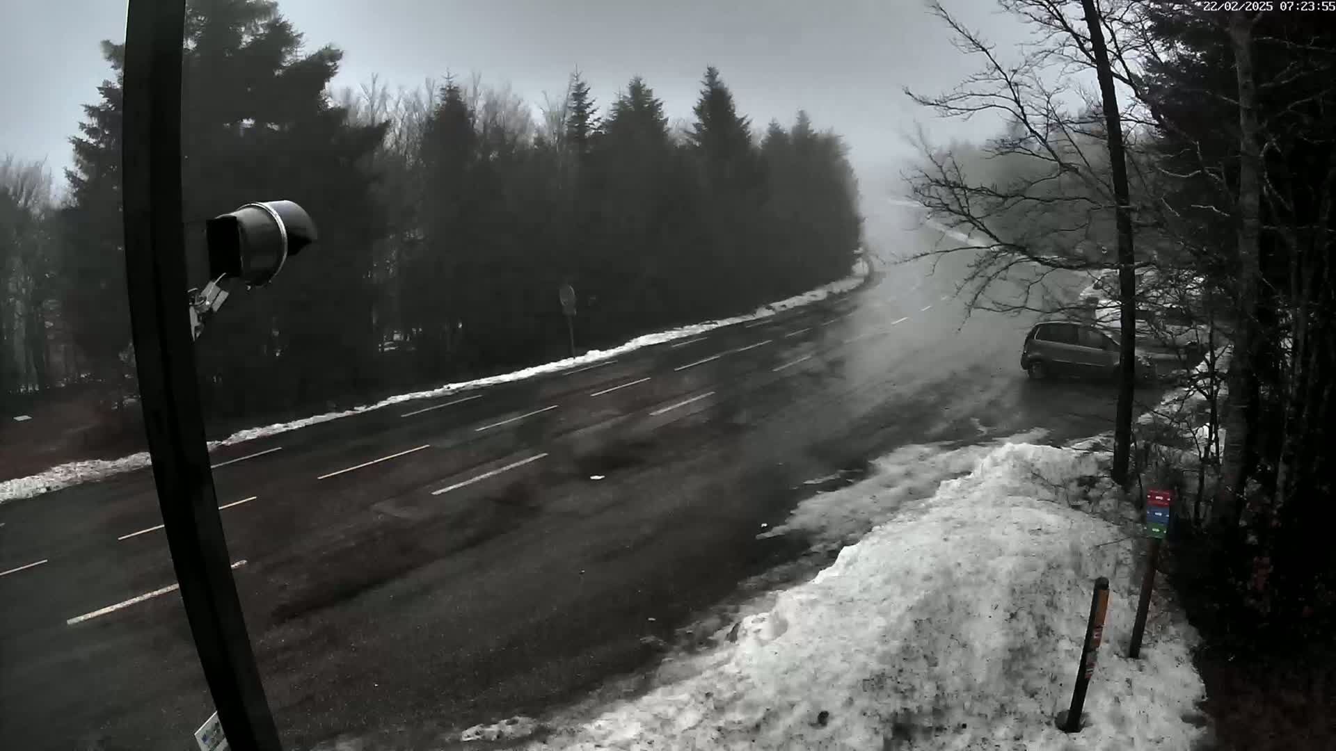 A dark-colored car is parked near a snow-covered road winding through a misty forest.