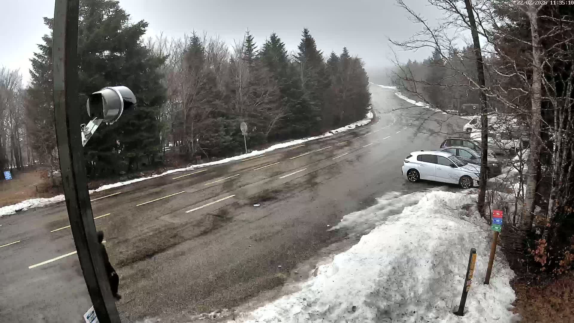 A wet, snowy road winds through a wintry forest, with several cars parked along the side.