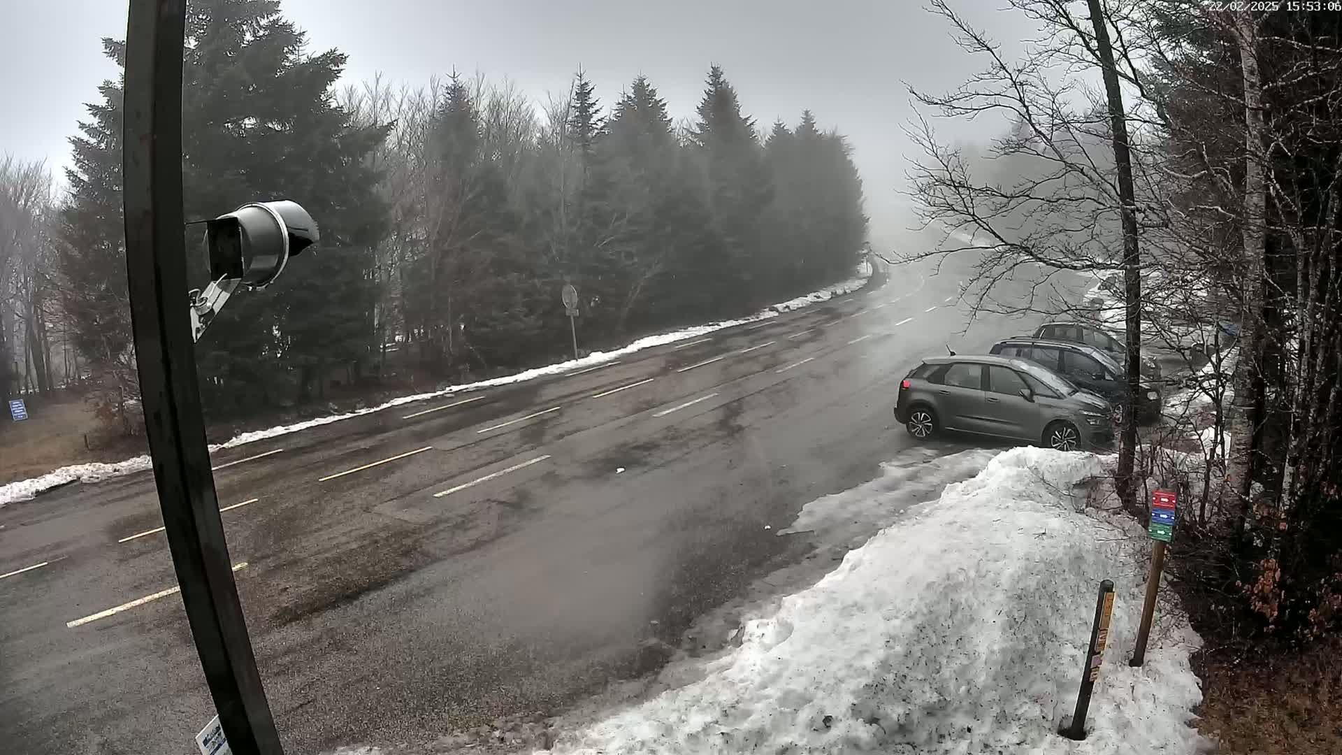A foggy, snowy road winds through a wooded area with several cars parked along the side.