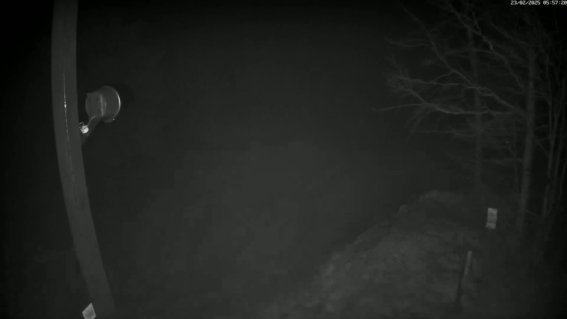 A nighttime, low-light image shows a dark scene with bare trees in the background and a metallic post with a round object attached to it in the foreground.