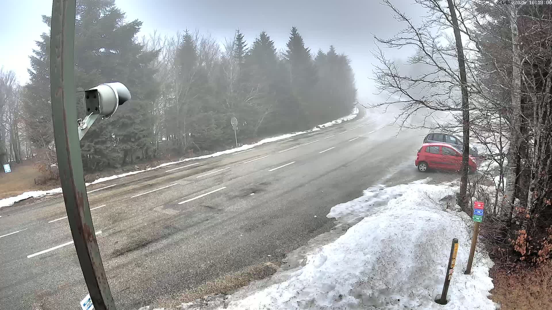 A foggy, snowy road scene shows a red car parked on the side of a two-lane road bordered by trees and snow banks.