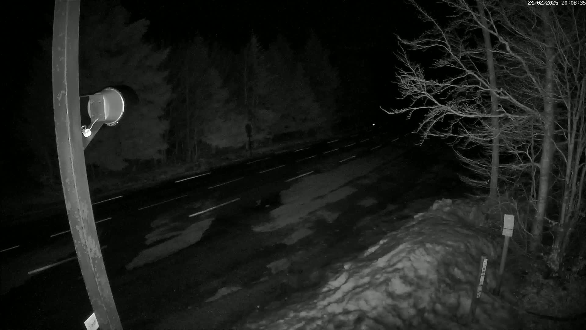 A nighttime view of a dark road with white lane markings, partially covered in snow, bordered by bare trees under a clear, dark sky.