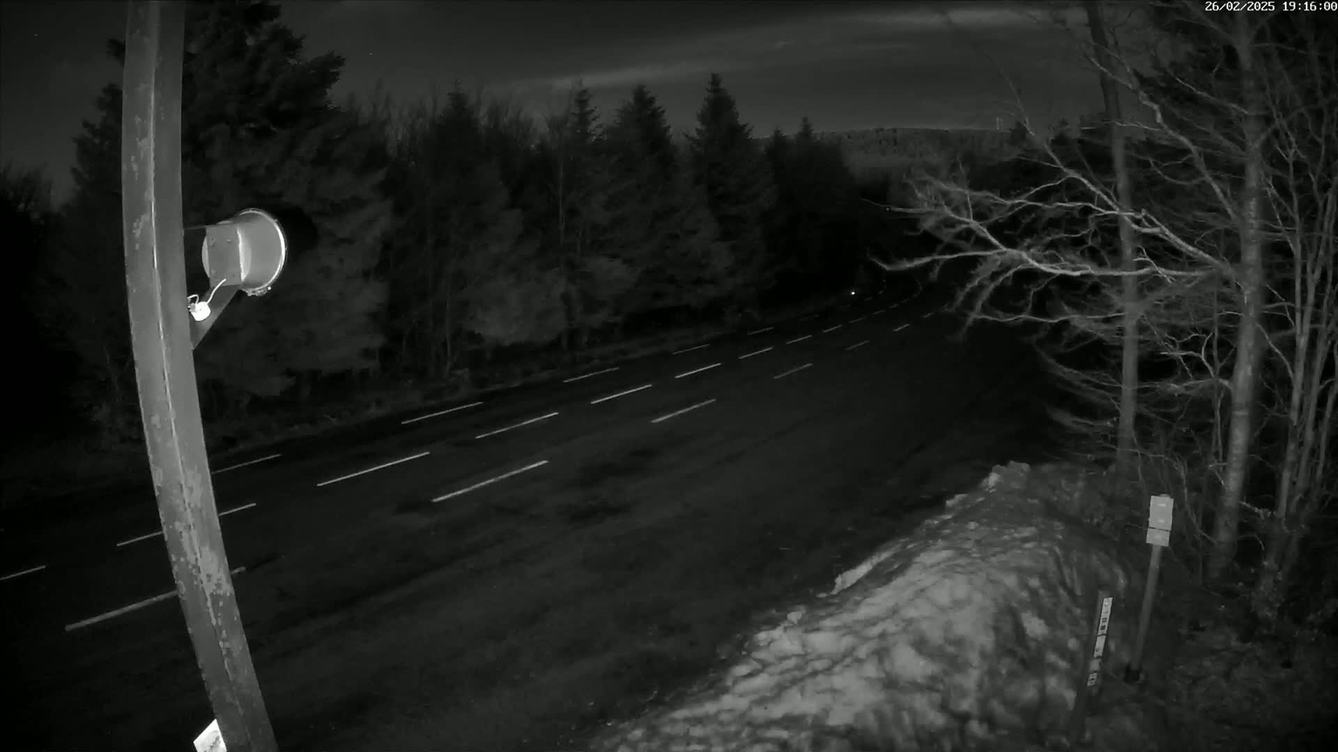 A nighttime view of a dark, two-lane road with white lane markings, flanked by dark trees and a snowdrift on the right, under a mostly clear night sky.